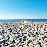 Seaside Czarna Mewa