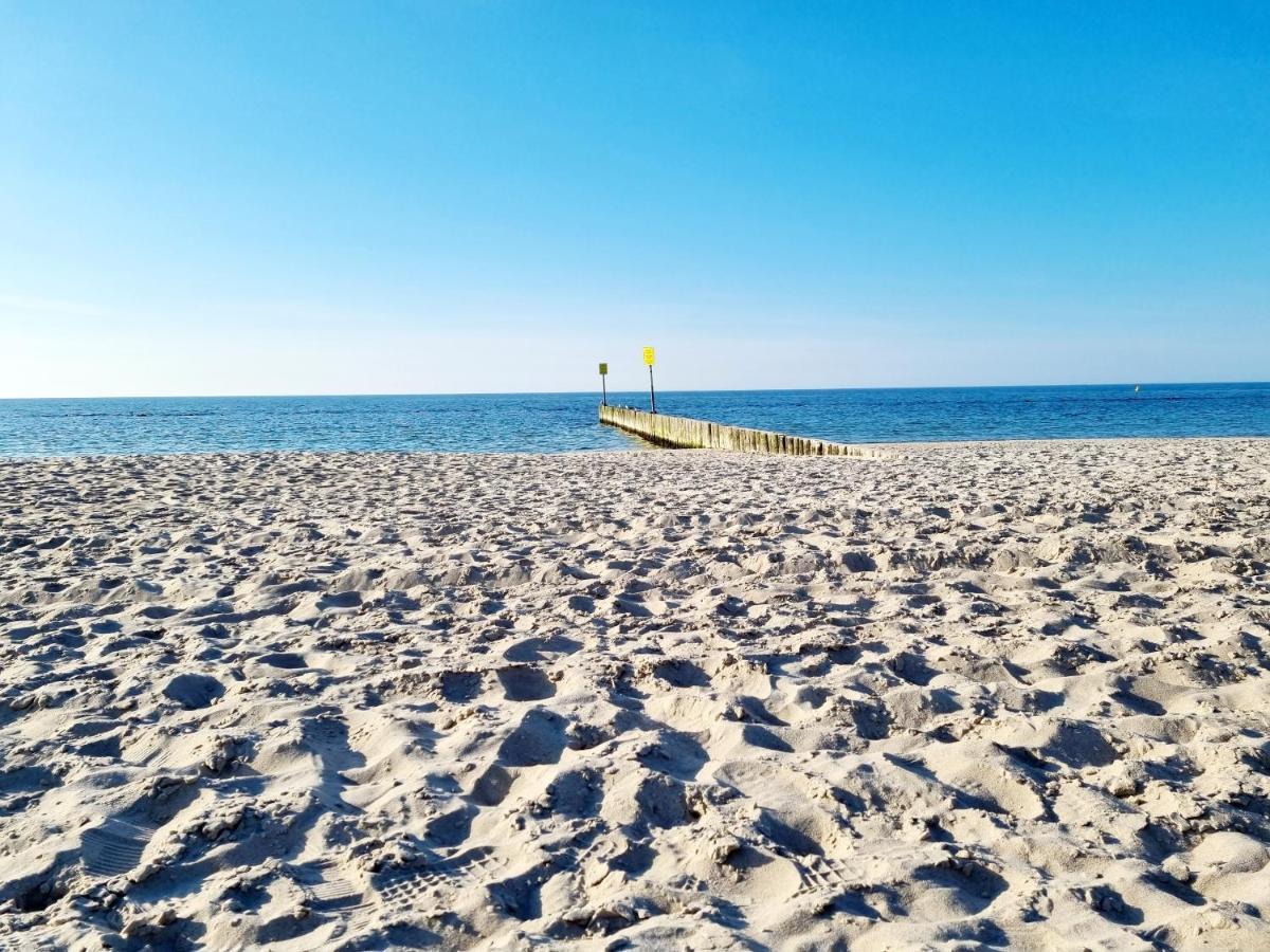 Seaside Czarna Mewa